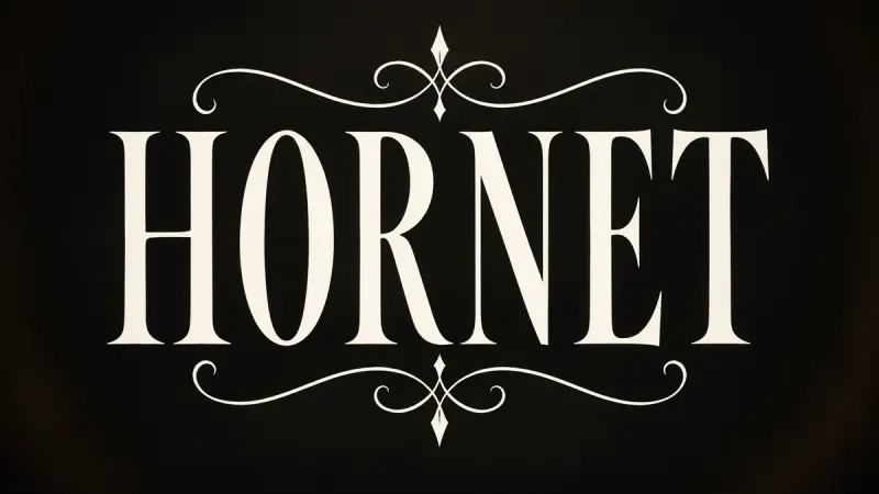 Pale Title: Hollow Knight Silksong Font Generator sample showing HORNET